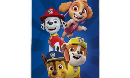 Vem är vem i Paw Patrol?